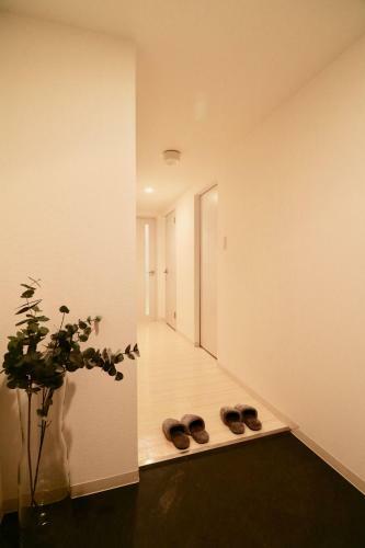 Apartamentos Colore Kotoni