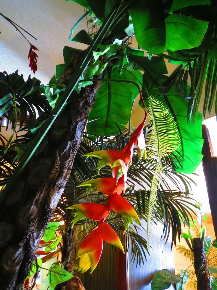 Hostal Stella Resort