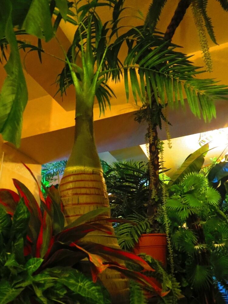 Hostal Stella Resort