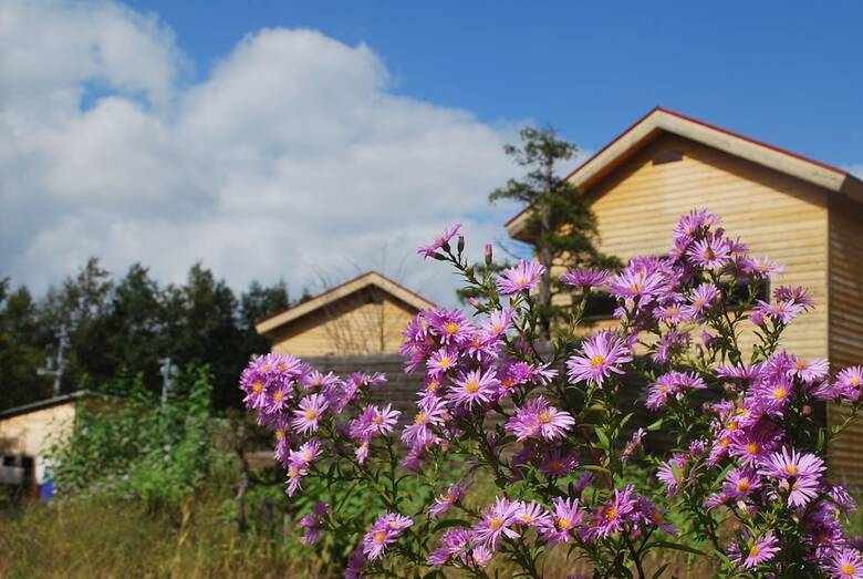 Lodge Auberge Ninguruforet