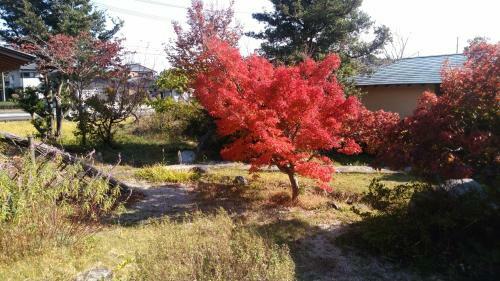Hostal Wakihonjin