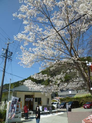 Hostal Wakihonjin
