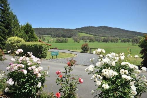 Lodge Langbrook Cottages