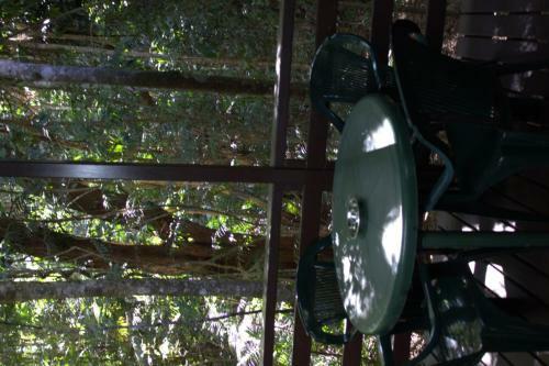 Chambers Wildlife Rainforest Lodges