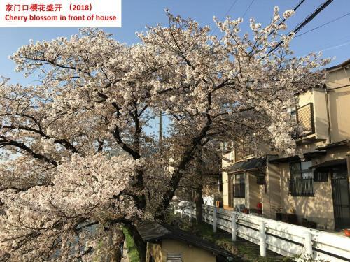 Aoi-riverside Old Townhouse