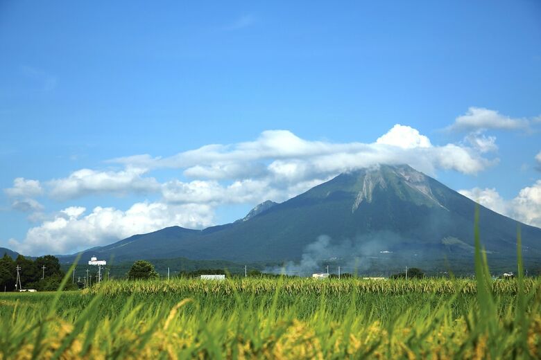 Royal Hotel Daisen
