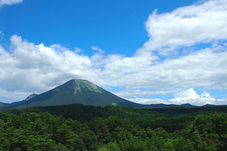 Royal Hotel Daisen