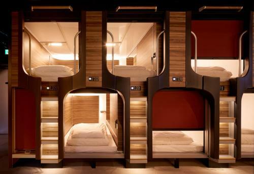 Albergue Mayudama Cabin