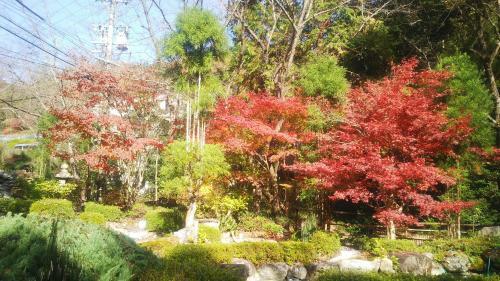 Sanage Onsen Hotel Kinsenkaku