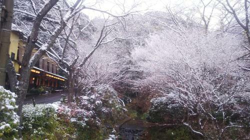 Sanage Onsen Hotel Kinsenkaku