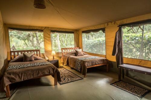 Rhino Watch Safarilodge