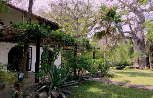 Shambani Cottages