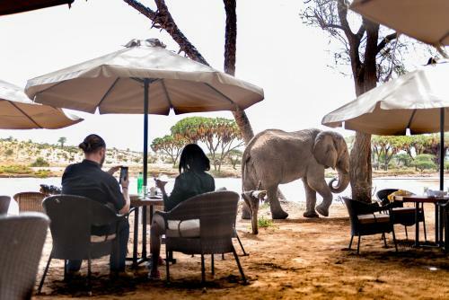 Lodge Elephant Bedroom Camp - Samburu