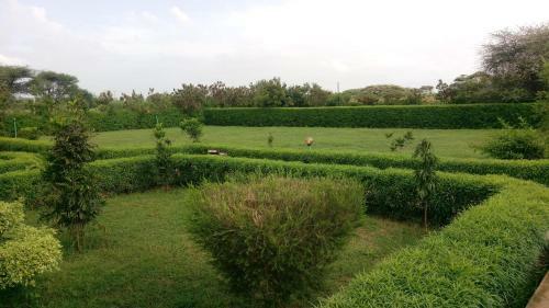 Hotel Paran Resort