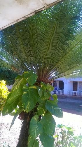 Sawaka Apartments Diani