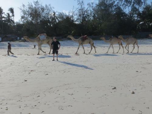 Maina Paradise