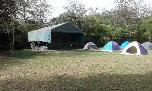 Cactus Eco Camp And Lodge