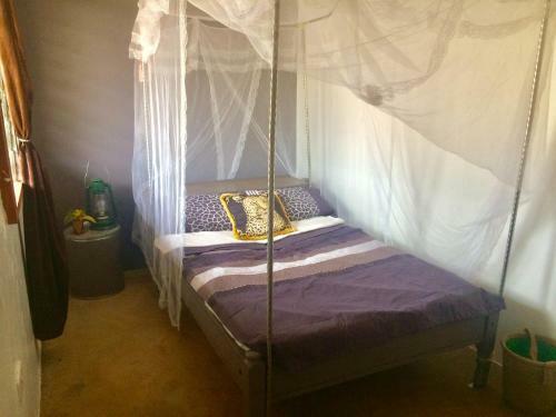 Lodge Amboseli Eco Camp