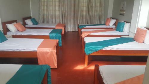 Bed & Breakfast Cdh Backpackers