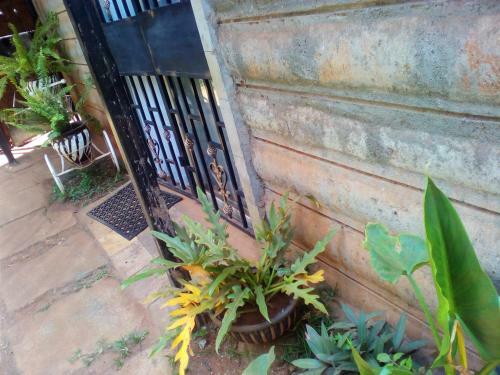 Bed & Breakfast Sherry Homes - Kwetu