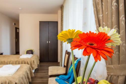 Hotel Saint Konstantin
