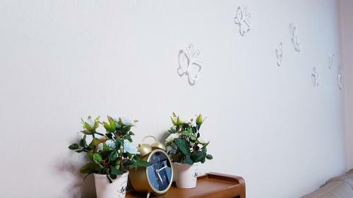 Apartamento Han S