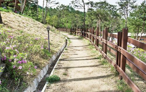 Hotel Hyundai Soo Resort Hoengseong