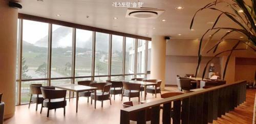 Hotel Pine Forest Jeongseon Alpine Resort