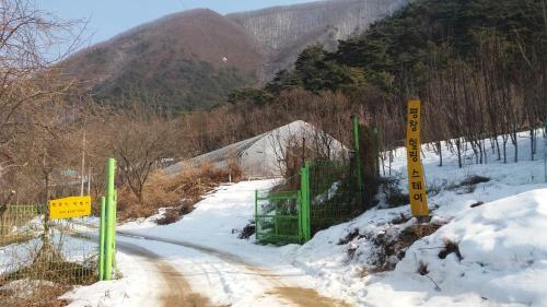 Pyeongchang Healing Stay