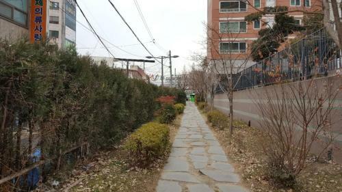Hostal Guesthouse Loco