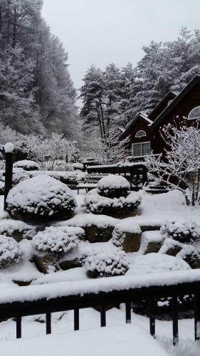 Sisilli Pension