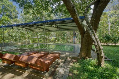 Hostal Yuhibuhi Forest Resort