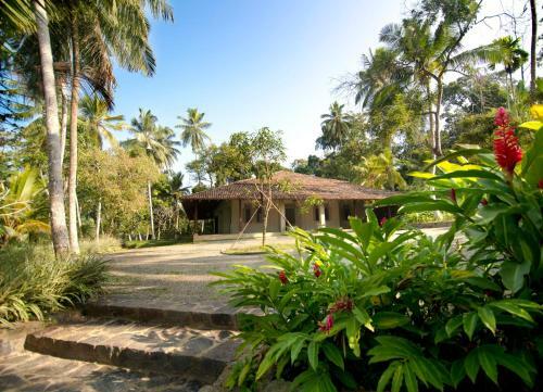 Villa Ivory House