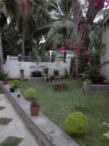Bed & Breakfast Neo Grand