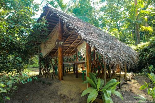 Jungle Paradise