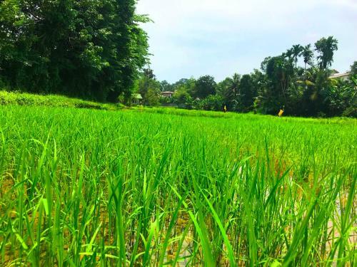 Agroturismo Horahena Farm Stay