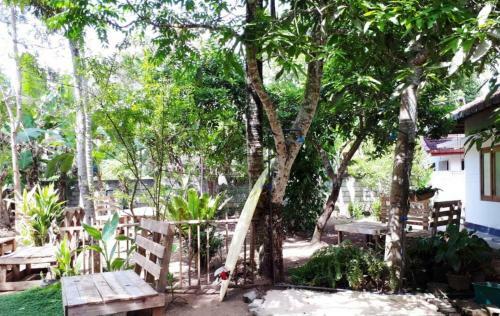 Banana Garden Hotel Madiha