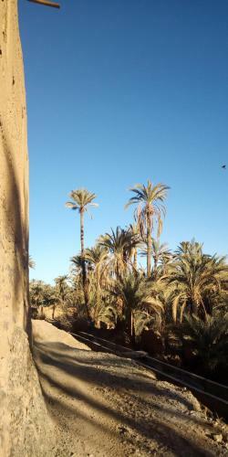 Hostal Kasbah Maktob Tamnougalt