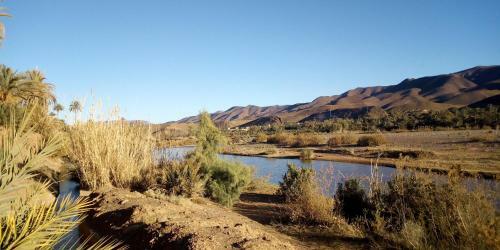 Hostal Kasbah Maktob Tamnougalt