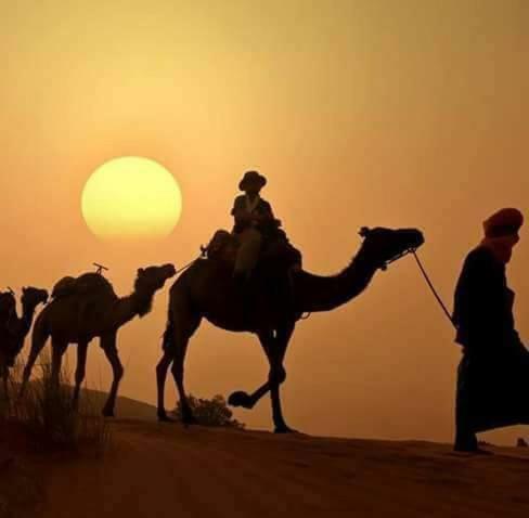 Bivouac Dune Iriki