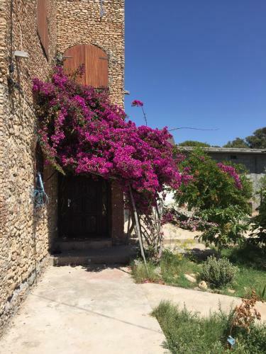 Hostal Aziki - Tables Et Chambres D'h�tes