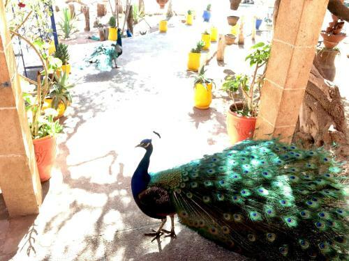 Hostal Camping & H�tel Le Calme