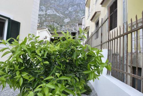 Apartamentos Melodia Del Mare
