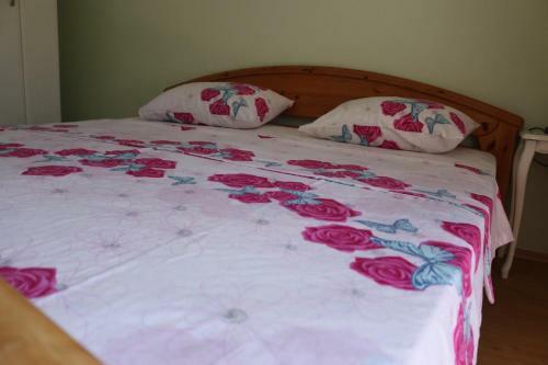 Hostal Green Olive Guesthouse