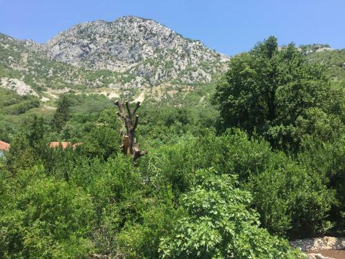 Agroturismo Apartmani Ivana