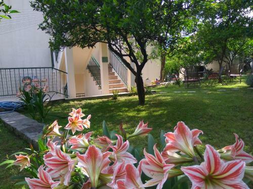 Apartmani Villa Radovic