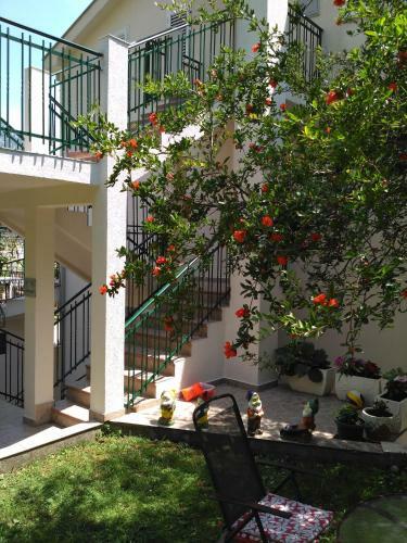 Apartmani Villa Radovic