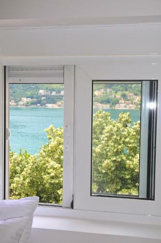 Apartments Dorothea Lux