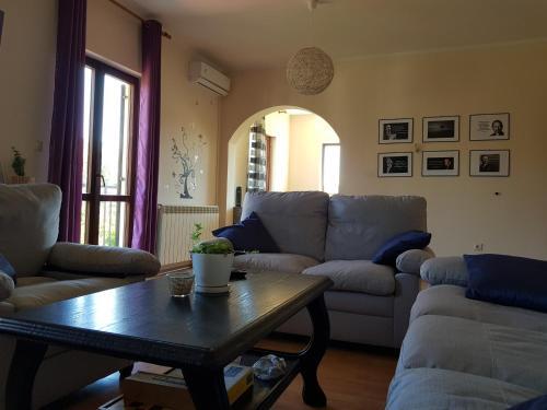 Apartments Milicic