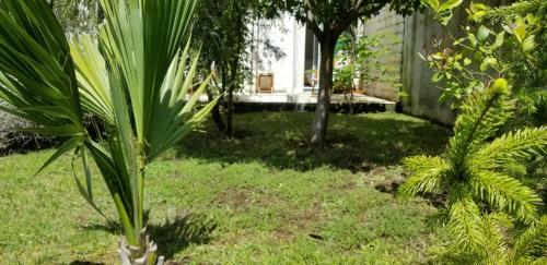 Apartamento Green Village Kotor